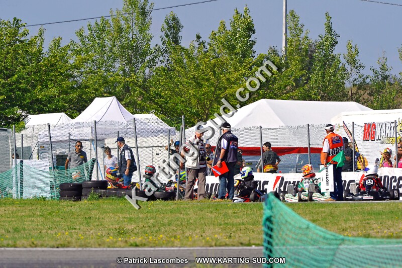 DSC_ (1044).jpg